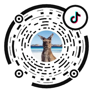 nice-aus